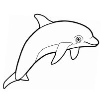 raskraska-delfin-32