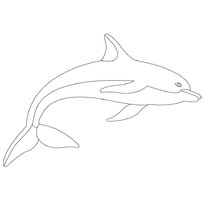 raskraska-delfin-39