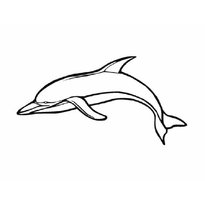 raskraska-delfin-41