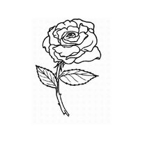 raskraska-roza-cvetok1