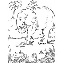 Раскраска слон raskraska-slon25