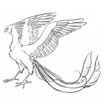 Раскраска жар птица raskraska-zhar-ptitsa15