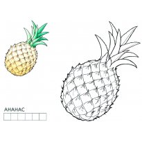 raskraska-ananas28