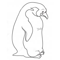 raskraska-pingvin30