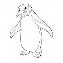 raskraska-pingvin37