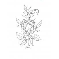 Раскраска горох raskraska-goroh18