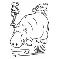 Раскраска бегемот raskraska-begemot39