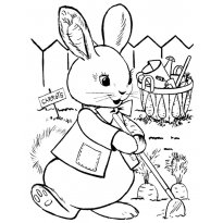 Раскраска огород raskraska-ogorod37