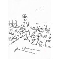 Раскраска огород raskraska-ogorod41