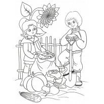 Раскраска огород raskraska-ogorod43