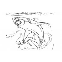 Раскраска подводный мир raskraska-podvodnii-mir58