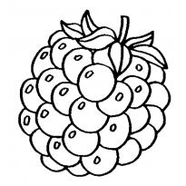 Раскраска ягоды raskraska-yagodi29