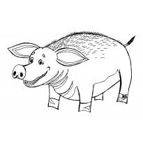 Раскраска свинья raskraska-svinjya15