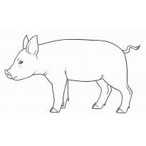 Раскраска свинья raskraska-svinjya20