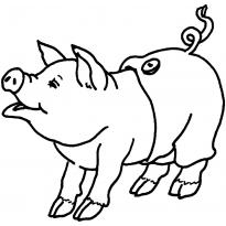 Раскраска свинья raskraska-svinjya38