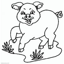 Раскраска свинья raskraska-svinjya58
