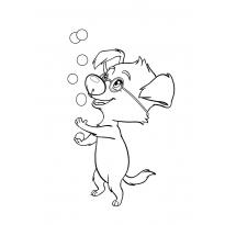Раскраска Белка и Стрелка raskraska-belka-strelka25