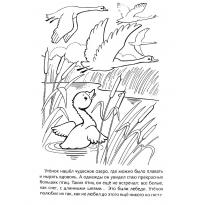 Раскраска Гадкий утенок raskraska-gadki-ytenok9