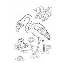 raskraska-flamingo18