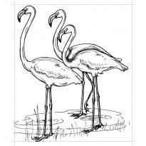 raskraska-flamingo30
