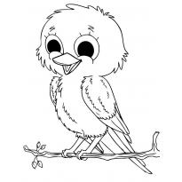 Раскраска Попугай Кеша raskraska-popugai-kesha41